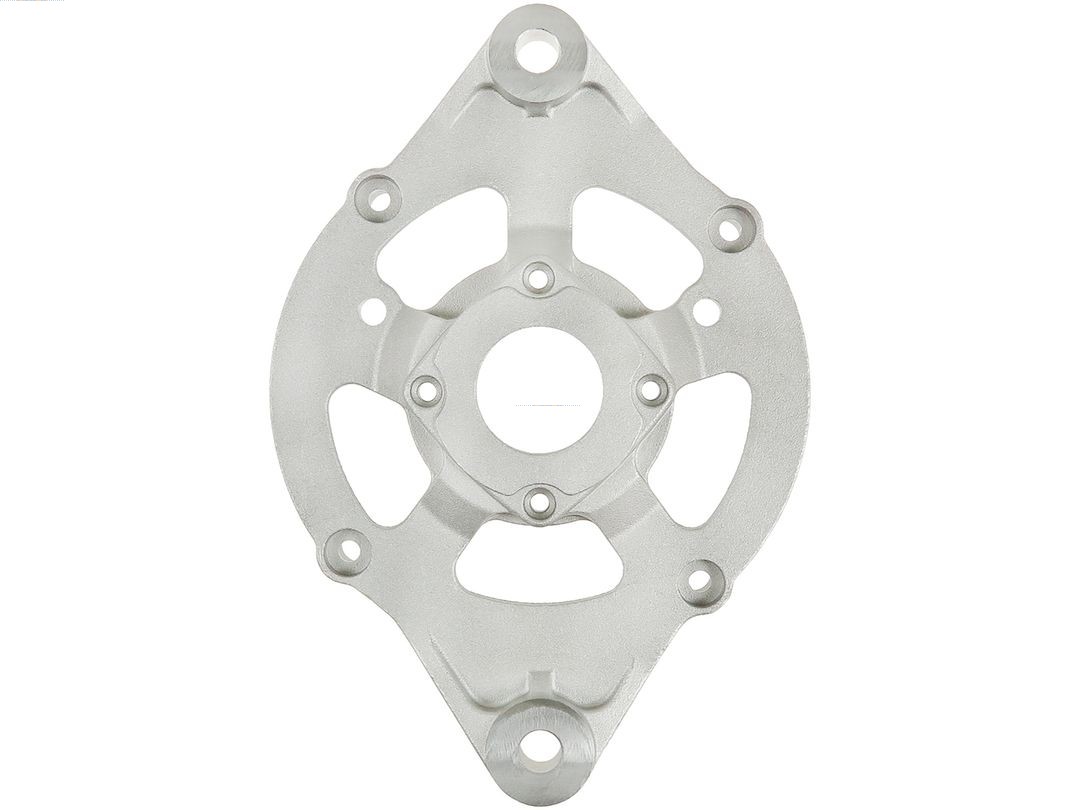 Bracket, alternator drive flange (ABR0176S)