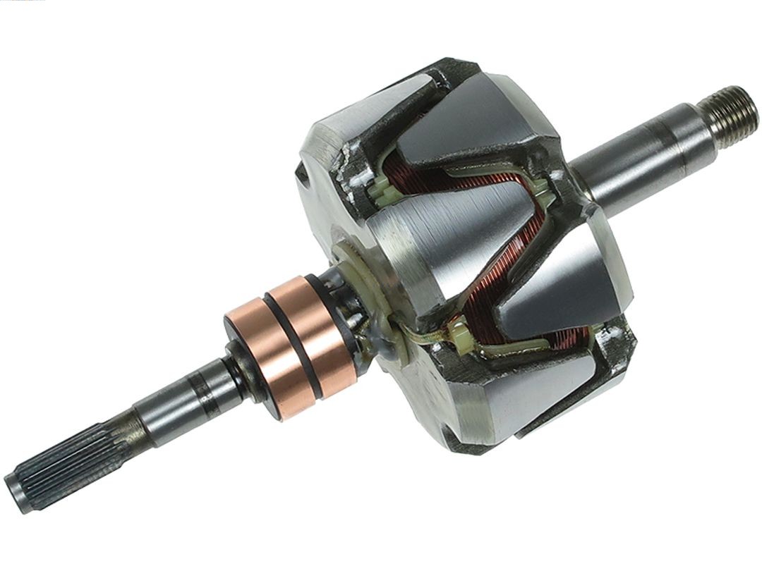 Rotor, alternator (AR0113S)