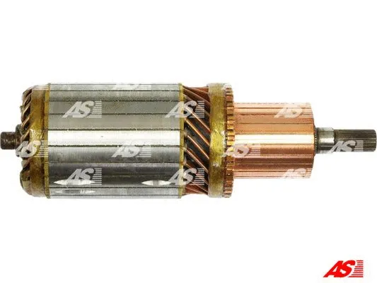 Armature, starter (SA6020)