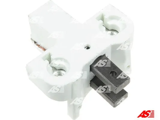 Holder, carbon brushes