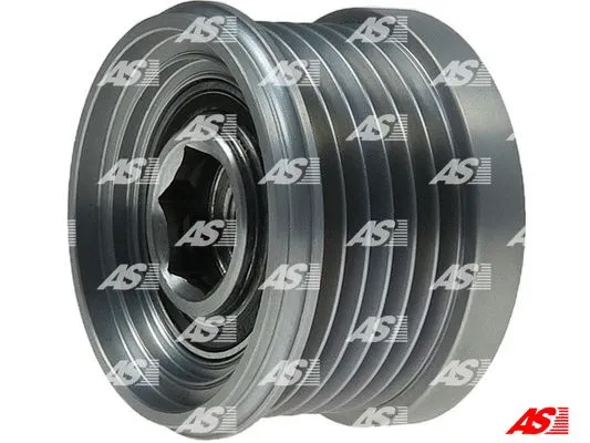 Alternator Freewheel Clutch (AFP6084S)