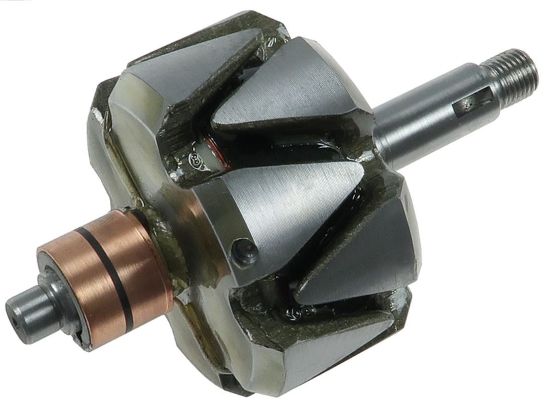 Rotor, alternator (AR4016S)