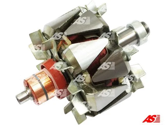 Rotor, alternator (AR2008)