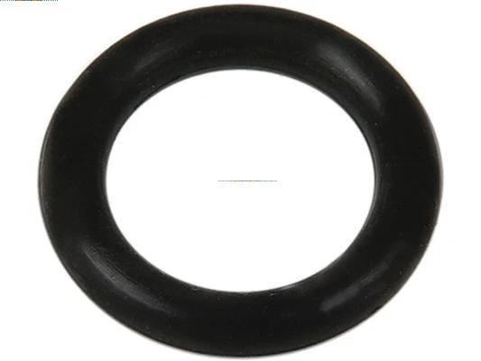 Repair Set, alternator (SRS0098)