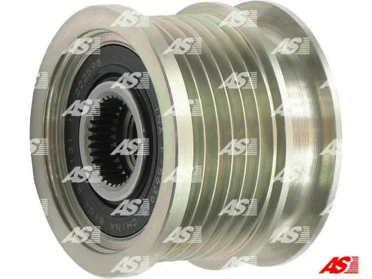 Alternator Freewheel Clutch (AFP1006(INA))