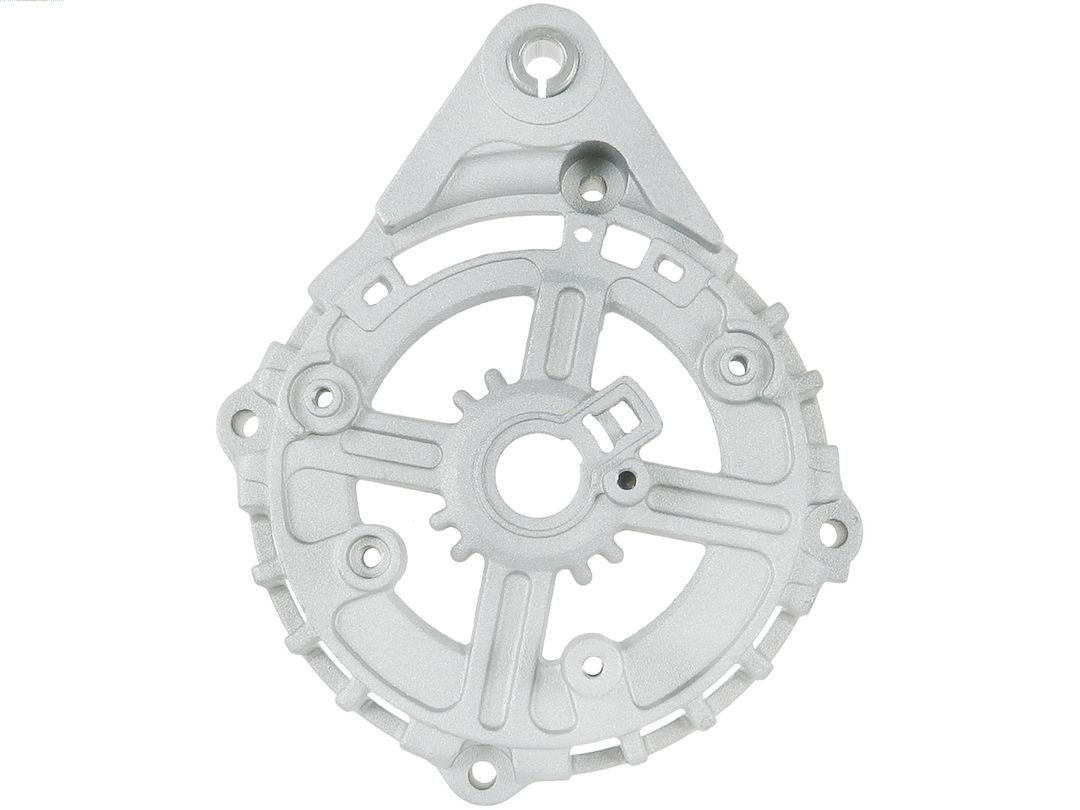 Bracket, alternator drive flange (ABR9081S)