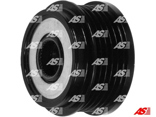 Alternator Freewheel Clutch (AFP6010)