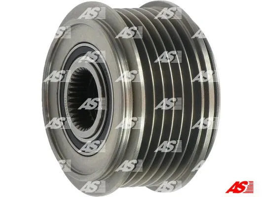 Alternator Freewheel Clutch (AFP6006(V))