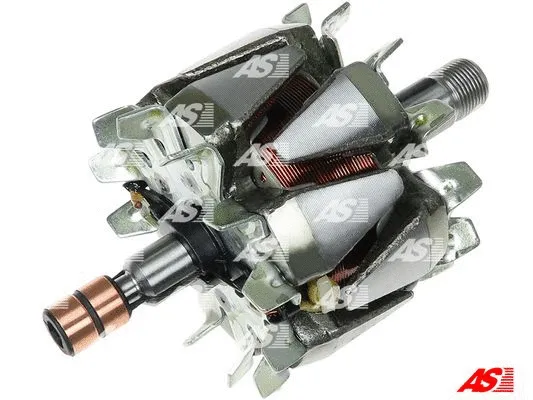 Rotor, alternator (AR9030S)