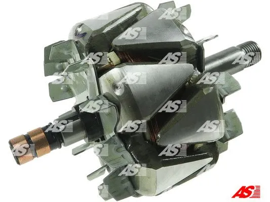 Rotor, alternator (AR0061)