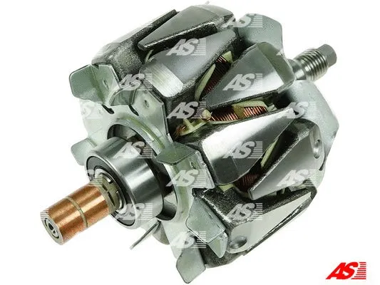 Rotor, alternator (AR6028S)