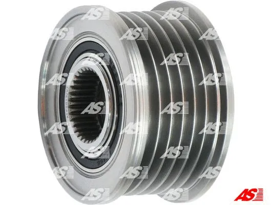 Alternator Freewheel Clutch (AFP0015(V))