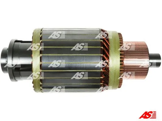 Armature, starter (SA0117(BOSCH))