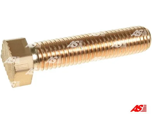 Repair Kit, starter (SP5017S)