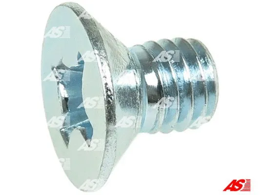 Repair Set, alternator (SRS5071S)