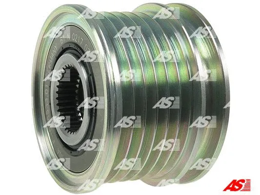 Alternator Freewheel Clutch (AFP3028(INA))