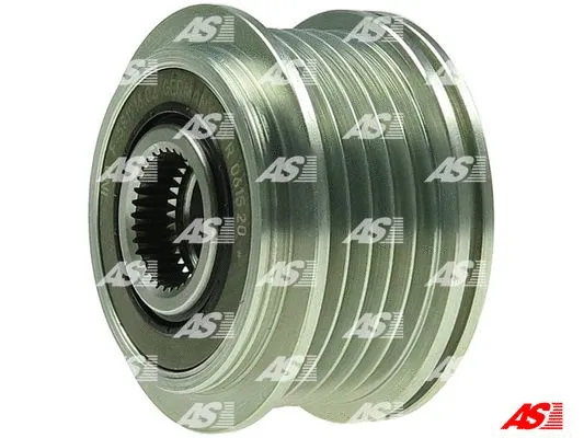 Alternator Freewheel Clutch (AFP6070(INA))