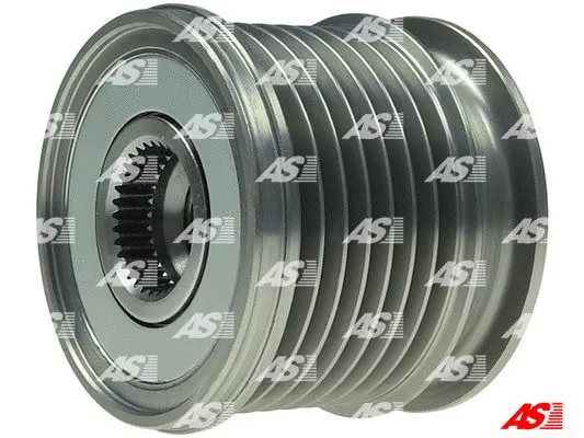 Alternator Freewheel Clutch (AFP3020)