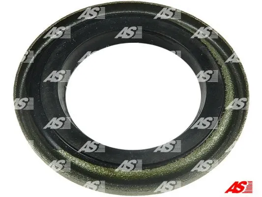 Repair Set, alternator (SRS5013)