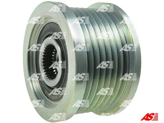 Alternator Freewheel Clutch (AFP6005(INA))