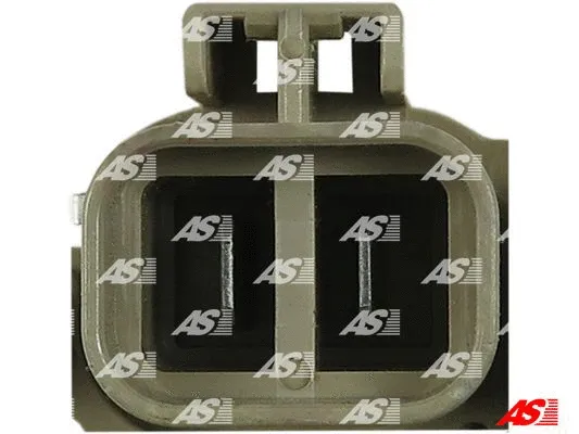 Alternator Regulator