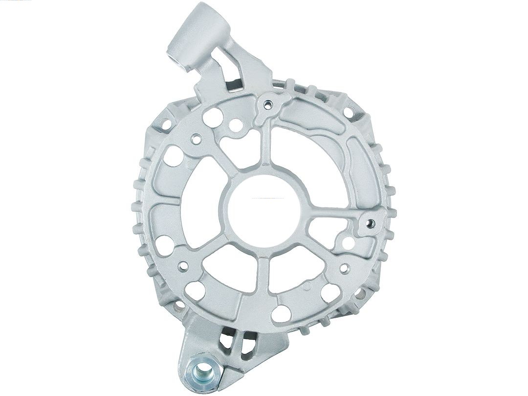 Bracket, alternator drive flange (ABR0218S)