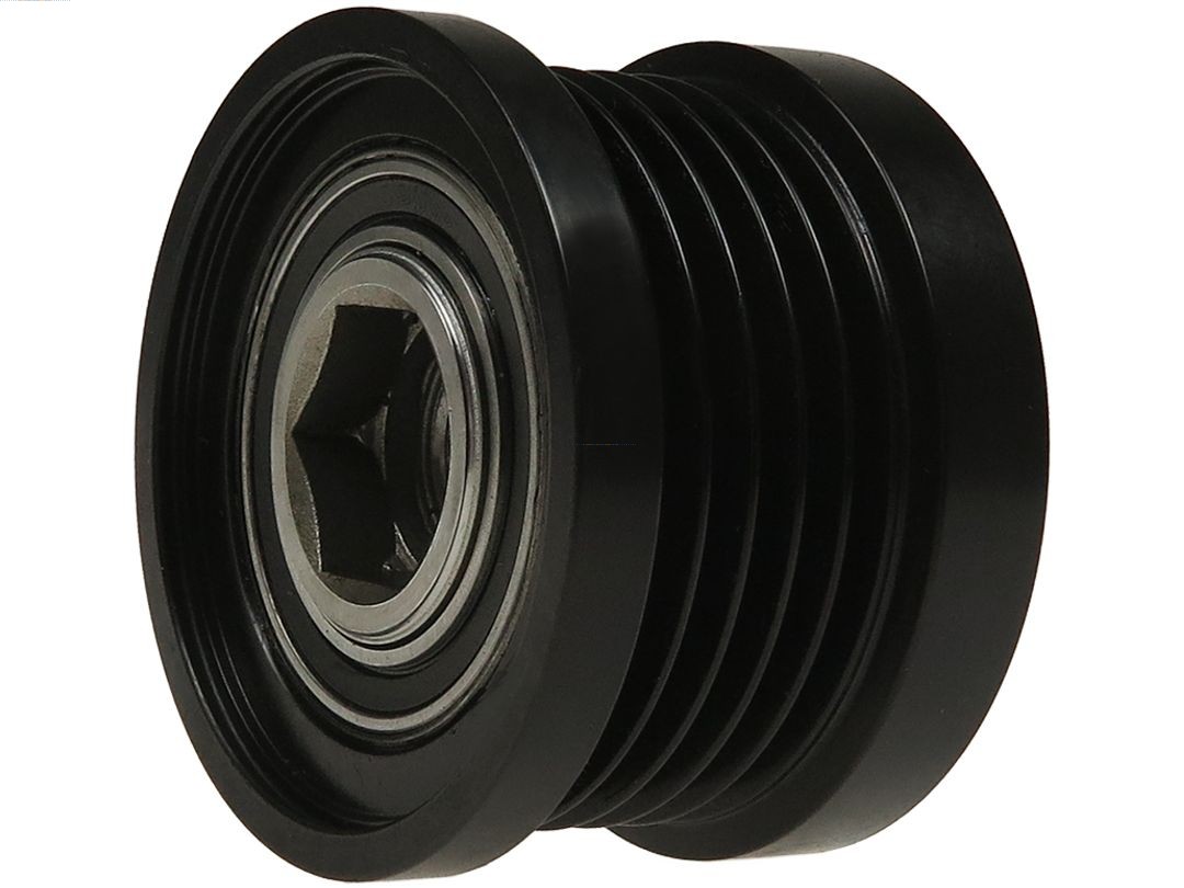 Alternator Freewheel Clutch (AFP6108S)