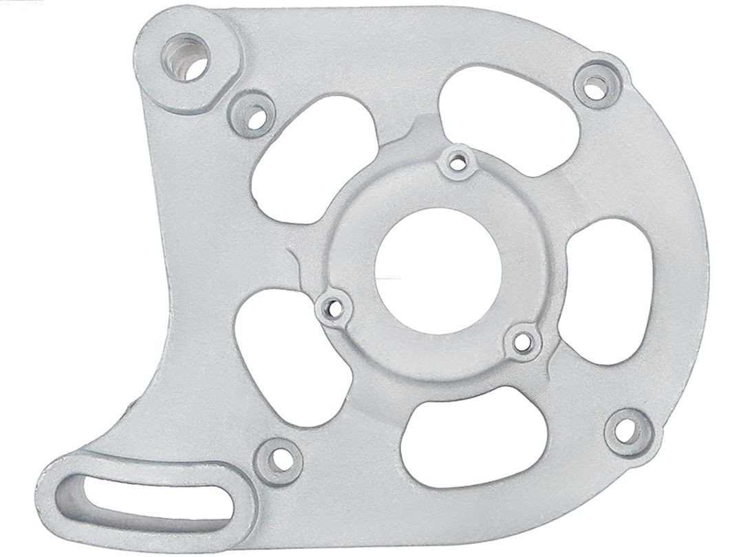 Bracket, alternator drive flange (ABR9074S)