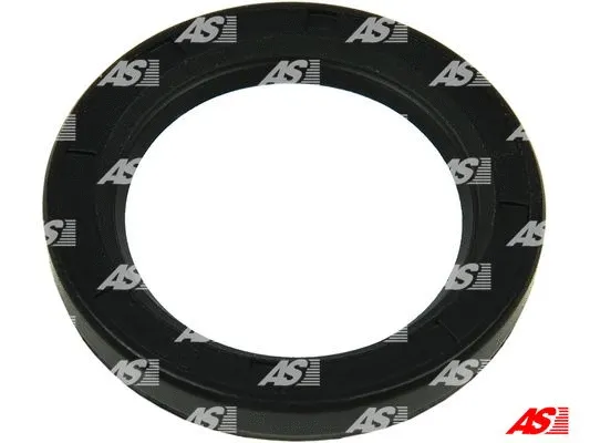 Repair Set, alternator (SRS9078S)