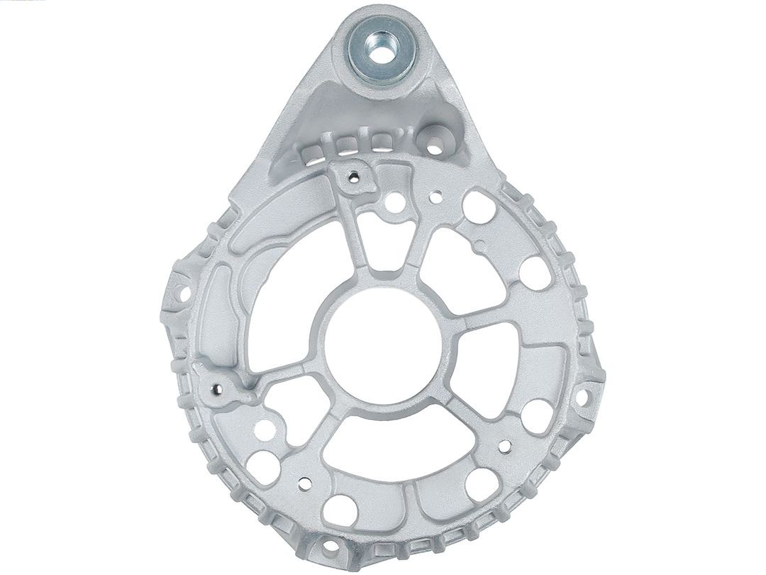 Bracket, alternator drive flange (ABR0198S)