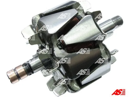 Rotor, alternator (AR0060)