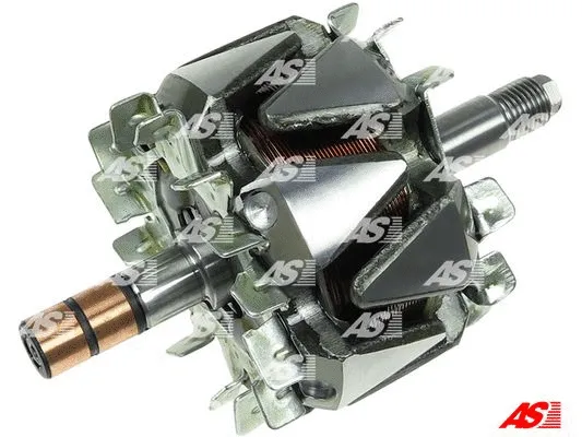 Rotor, alternator (AR6006)