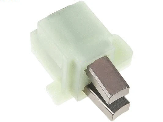 Holder, carbon brushes