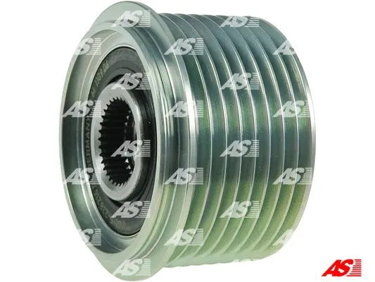 Alternator Freewheel Clutch (AFP0046(INA))