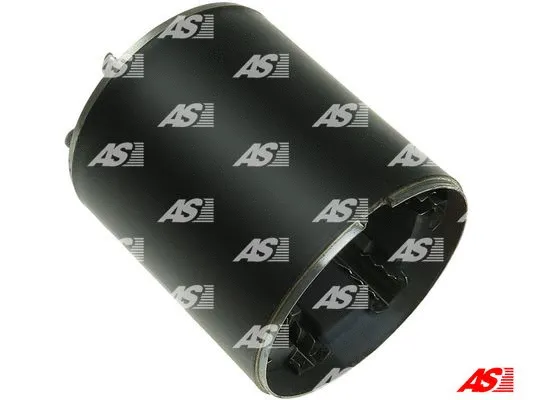 Field Winding, starter (SF5039S)