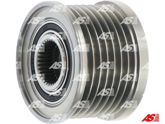 Alternator Freewheel Clutch (AFP0058(V))