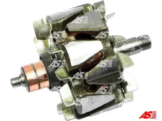 Rotor, alternator (AR2005)