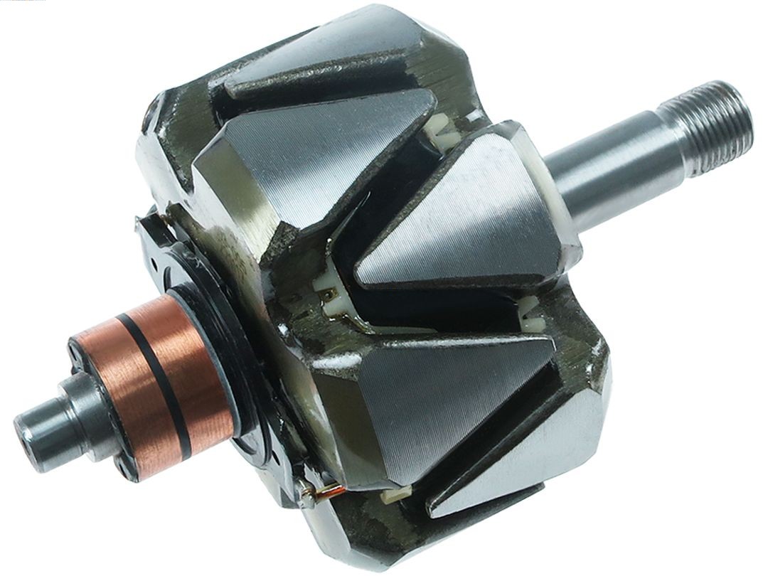 Rotor, alternator (AR3048S)