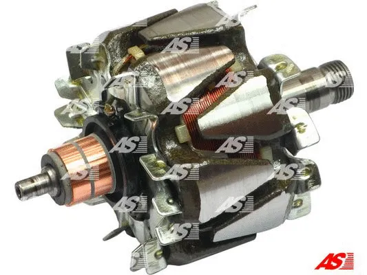 Rotor, alternator (AR5018)