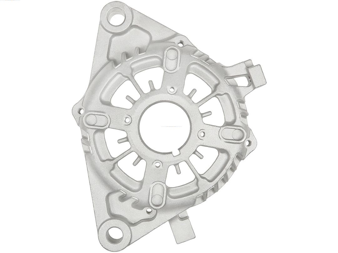 Bracket, alternator drive flange (ABR6078S)