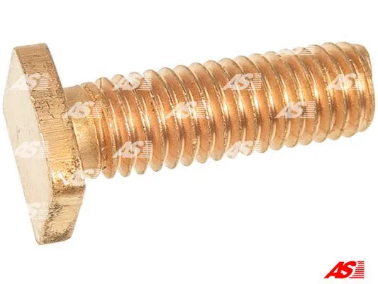 Repair Kit, starter (SP1006P)