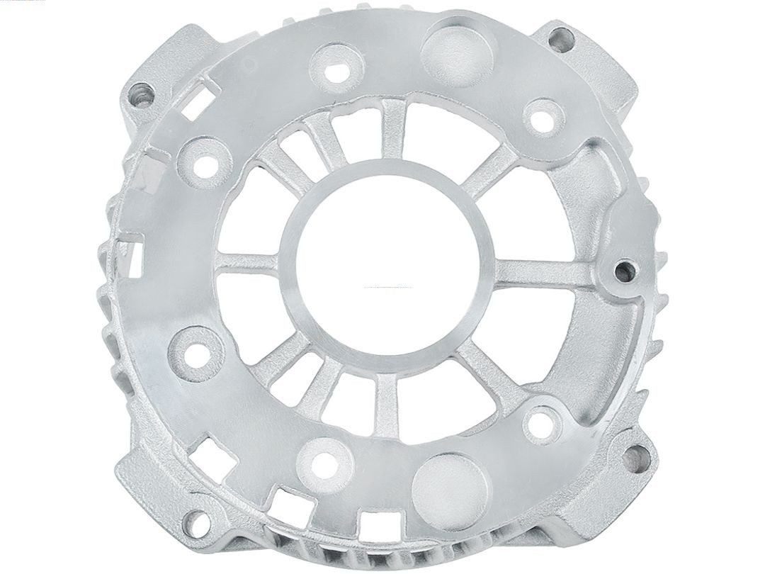 Bracket, alternator drive flange (ABR3101S)