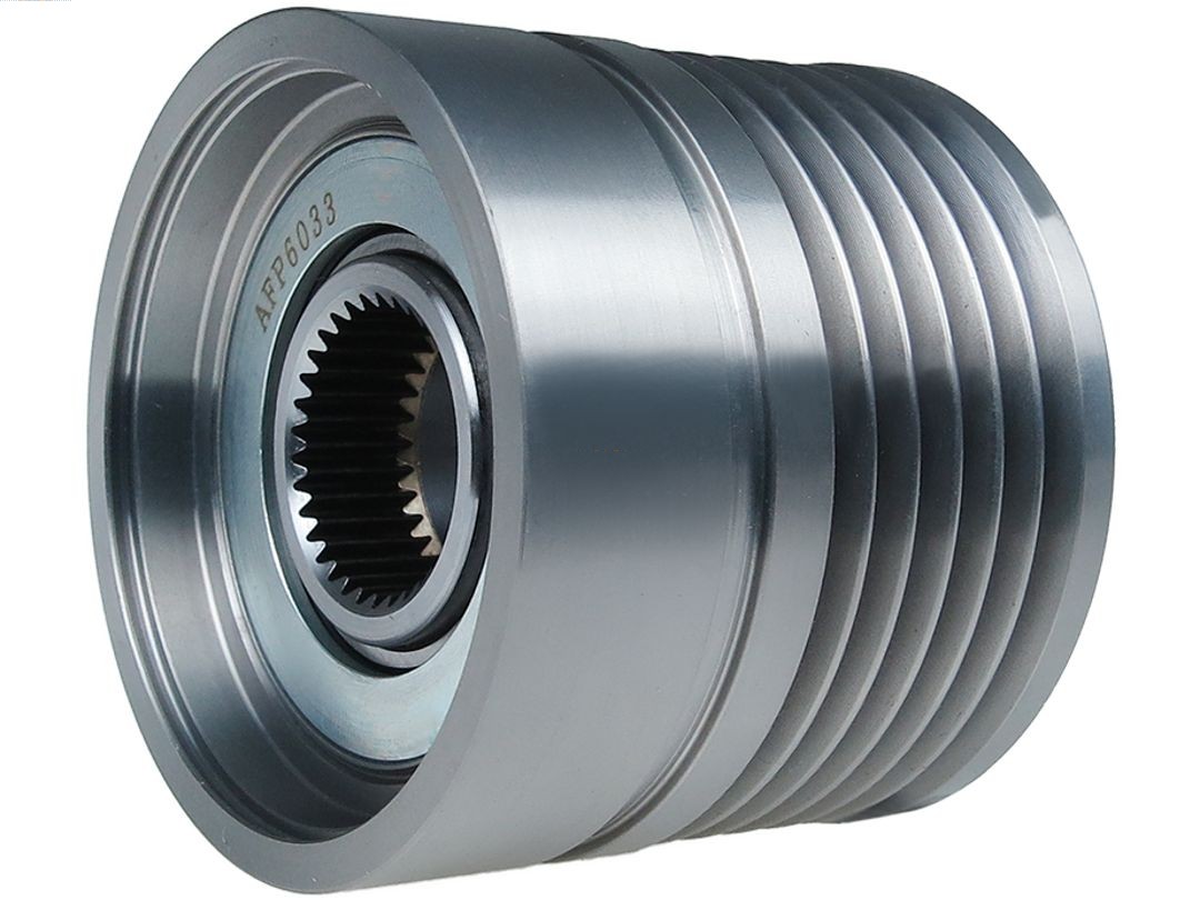 Alternator Freewheel Clutch (AFP6033)