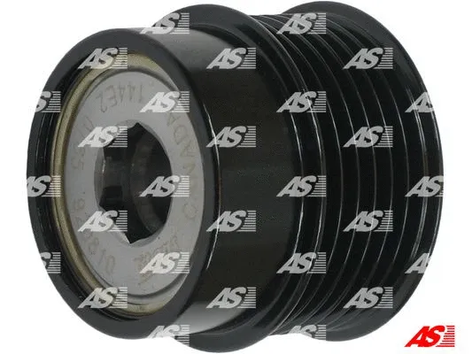 Alternator Freewheel Clutch (AFP5018(LITENS))