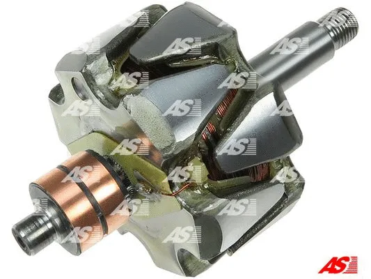 Rotor, alternator (AR4012S)