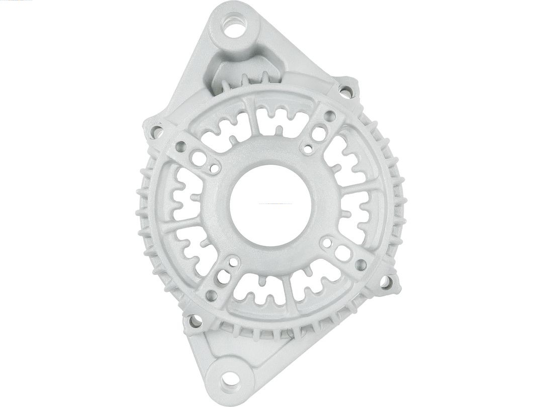 Bracket, alternator drive flange (ABR6194S)