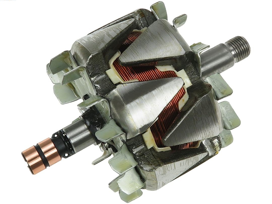 Rotor, alternator (AR0041)