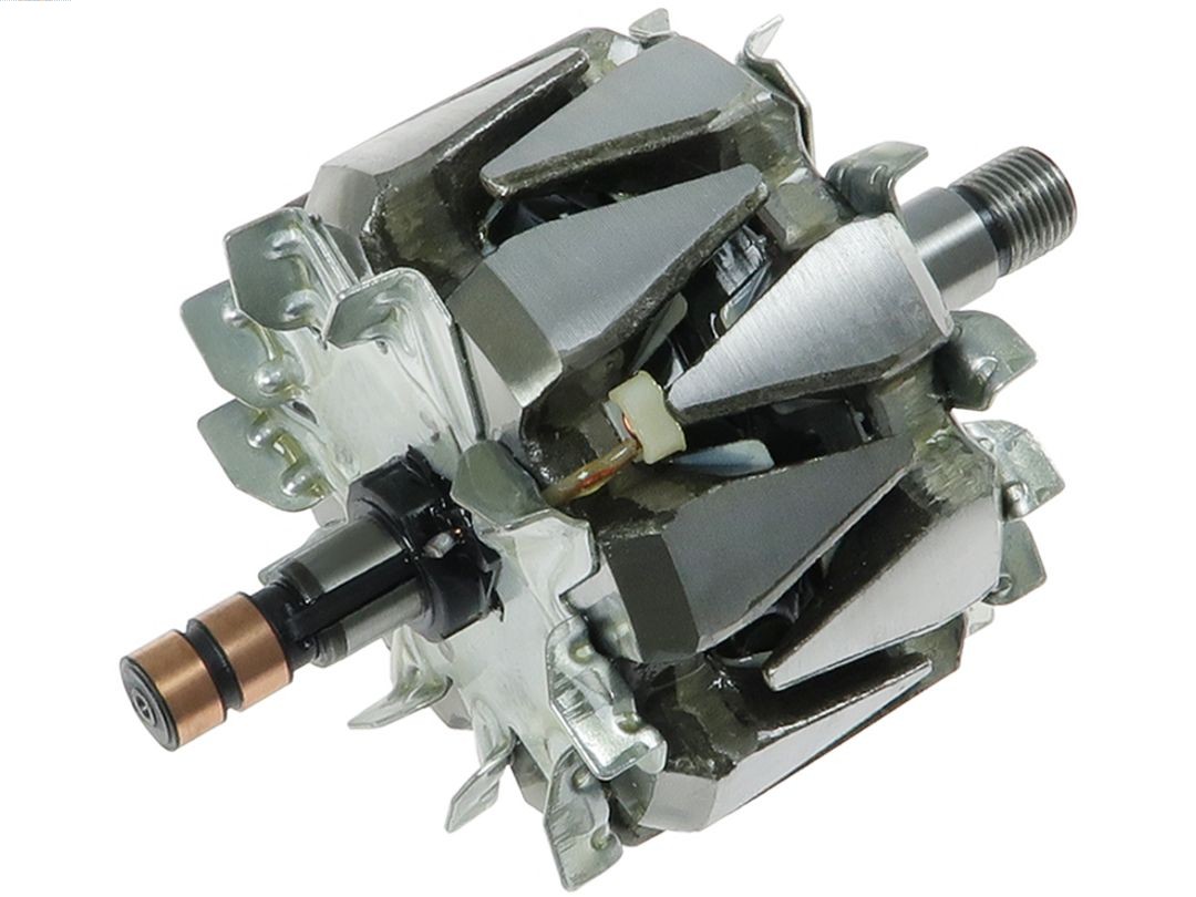 Rotor, alternator (AR0055)