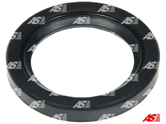 Repair Set, alternator (SRS0197S)