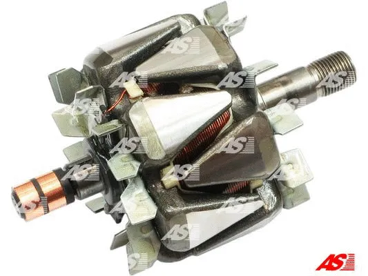 Rotor, alternator (AR6018)